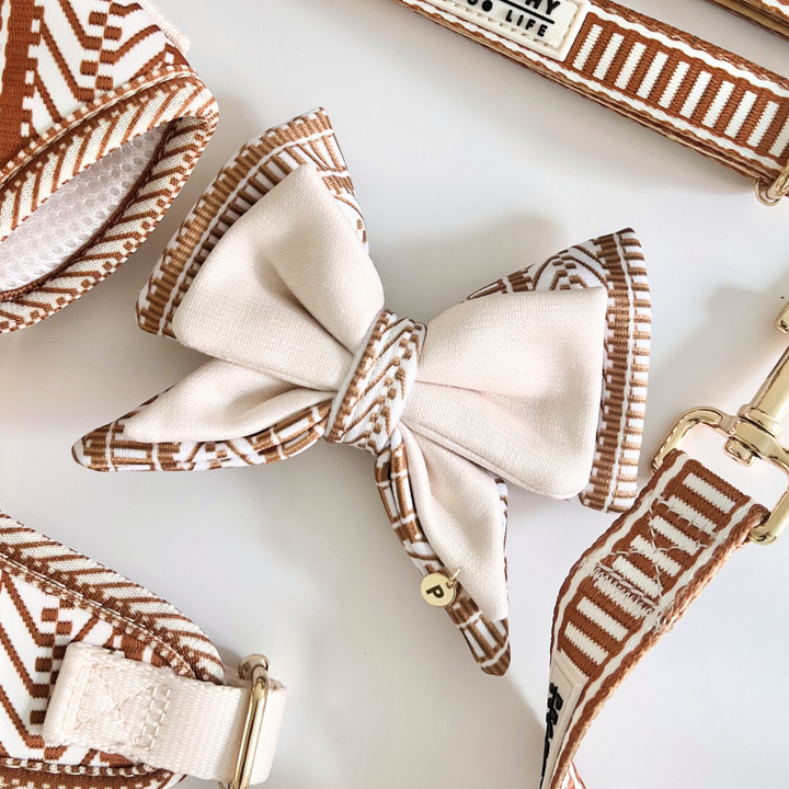 Ivory Spice Dog Bow