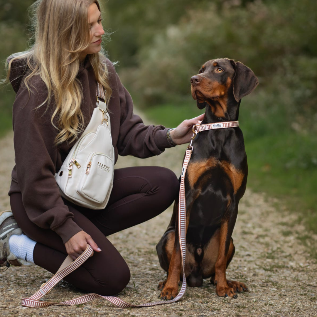 Ivory Spice Dog Lead
