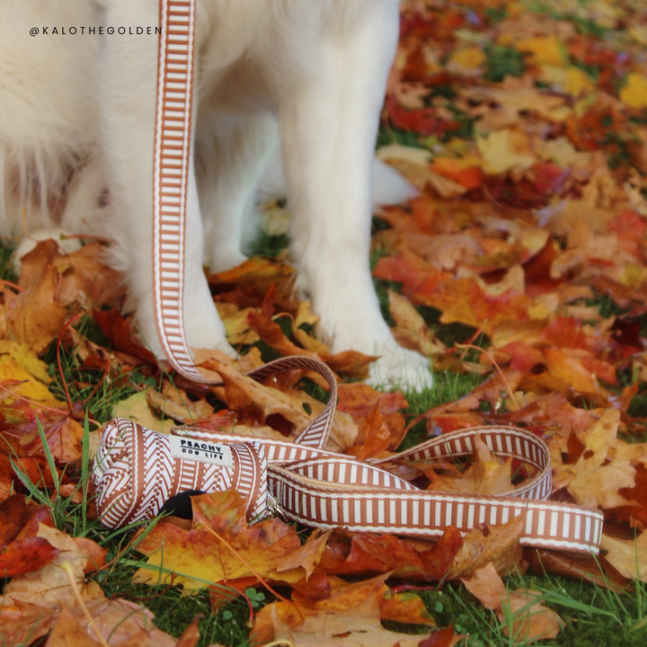 Ivory Spice Poop Bag Dispenser
