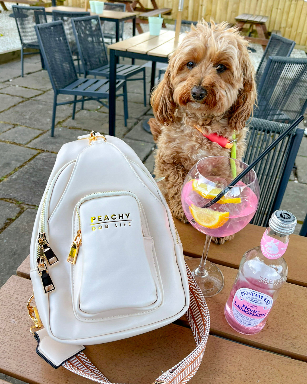 Dog Walking Bag - Cream Sling Bag