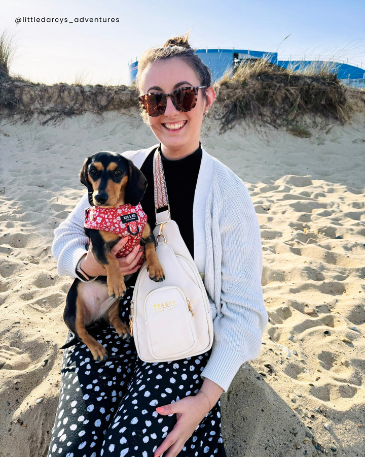 Dog Walking Bag - Cream Sling Bag