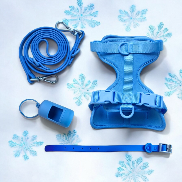 Harness bundle azure blue