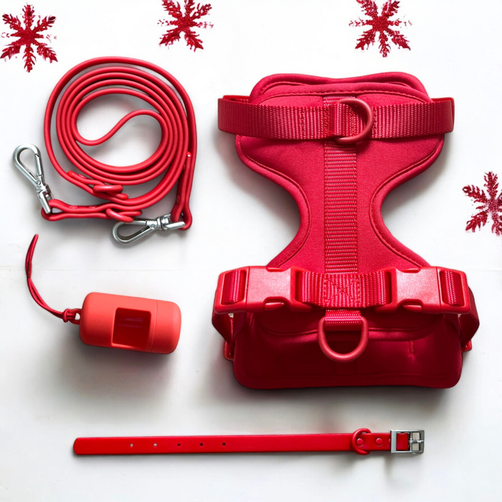 Harness bundle ruby red