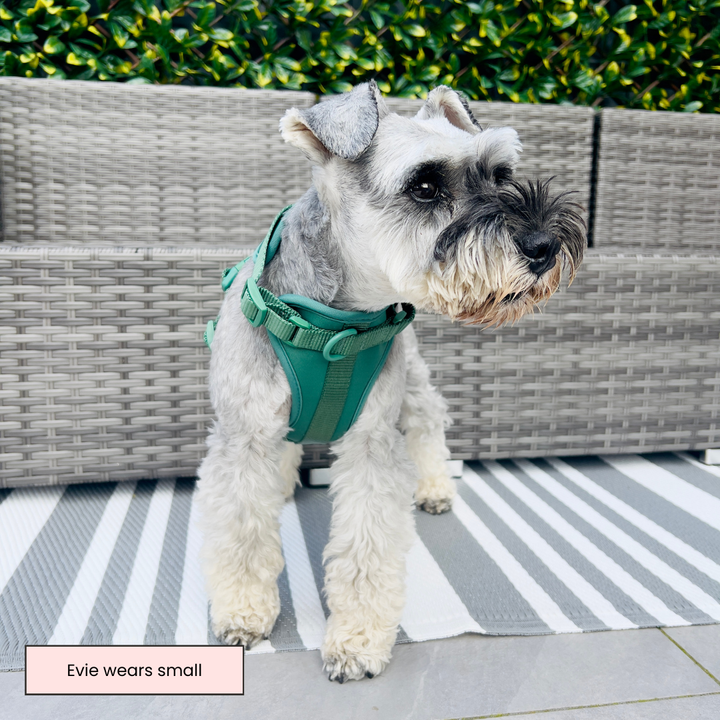 Adjustable Harness Lush Green