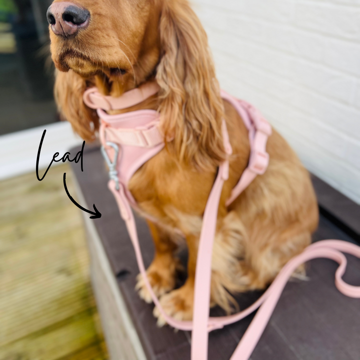 Wipeable dog lead pink