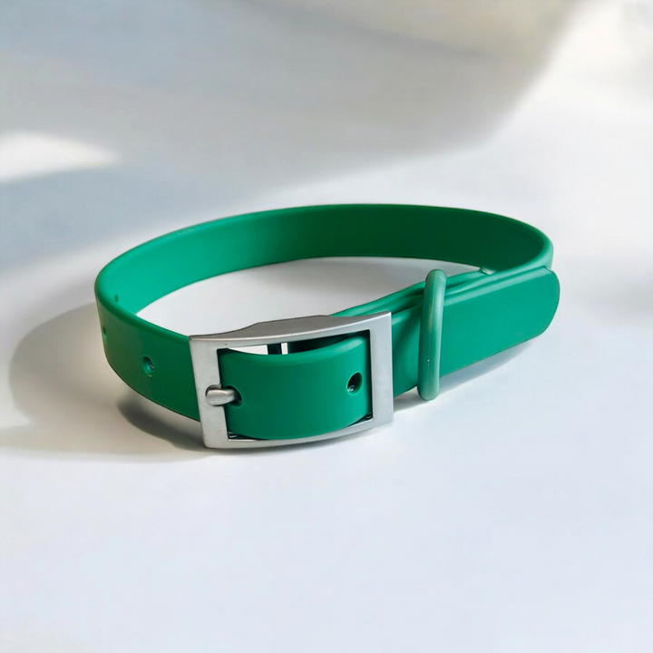 Waterproof dog collar in green